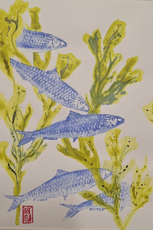 Estampe de gravure de 5 sardines et algues de Sylvie Guével format 18x28cm