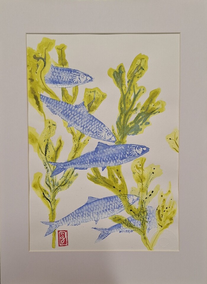 Estampe de gravure de 5 sardines et algues de Sylvie Guével format 18x28cm