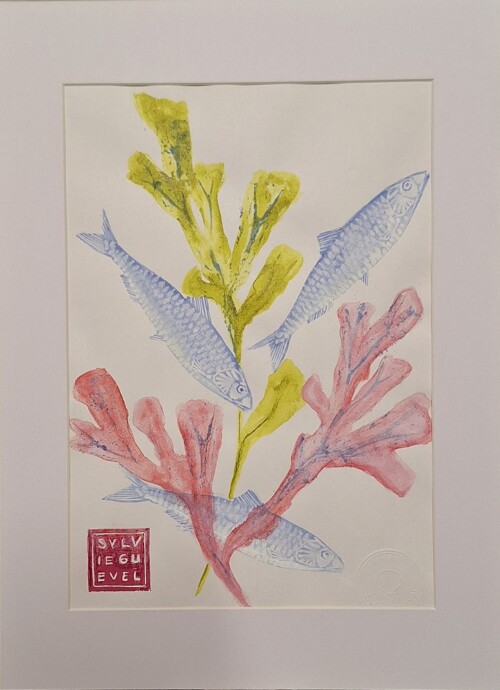 Estampe de gravure de sardines et algues de Sylvie Guével format 28x32cm