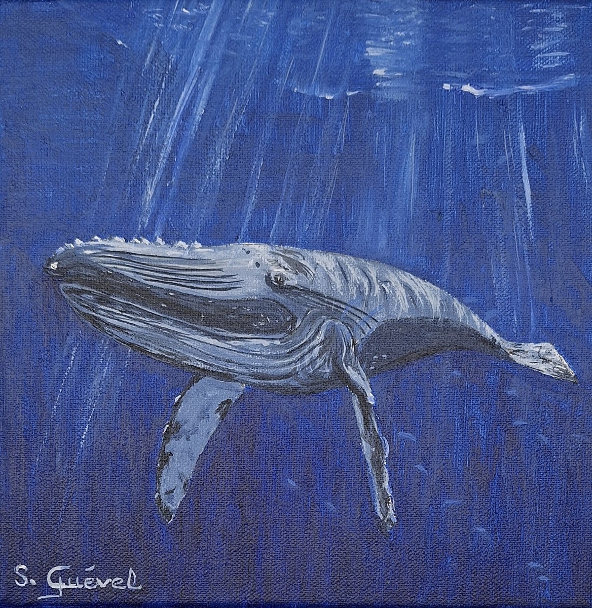 tableau-de-sylvie-guével-qui-représente-une-baleine-à-bosses-