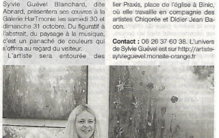 Sylvie Guével présentera son travail aux journées portes ouvertes d'Insolites mondes d'artistes au Légué