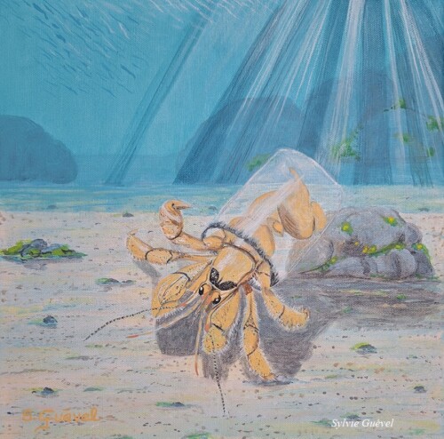 Tableau de Sylvie Guével qui montre un Bernard l'hermite qui vit dans un bouchon en plastique transparent