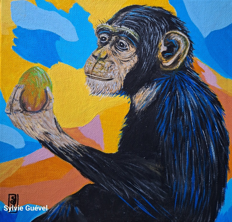 Tableau de Sylvie Guével qui montre un chimpanzé qui regarde une mangue
