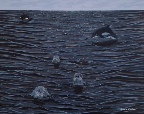 Tableau de Sylvie Guével qui représentent des phoques, dauphins et orque dans la mer