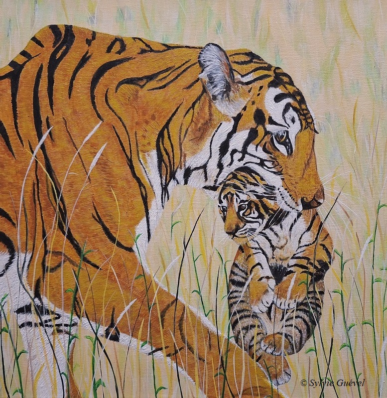 Tigresse-et-son-chaton-©-Sylvie-Guevel