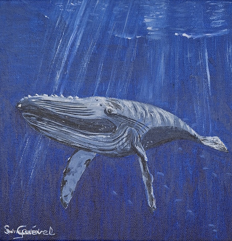 Tableau de Sylvie Guével qui représente une baleine à bosses