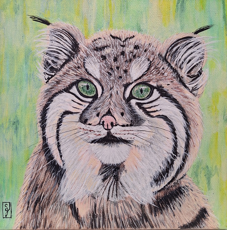 Tableau de Sylvie Guével qui représente le portrait d'un chat de Pallas