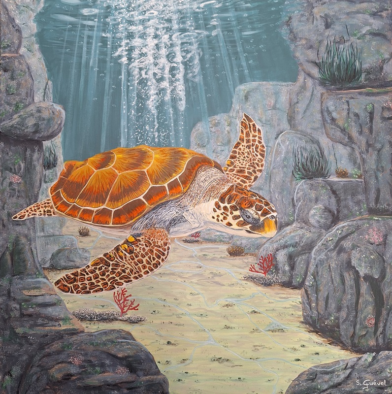 Tableau de Sylvie Guével qui représente une tortue caouanne qui nage dans la profondeur de la mer