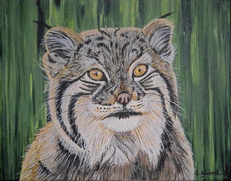 Tableau de Sylvie Guével qui représente un chat de Pallas